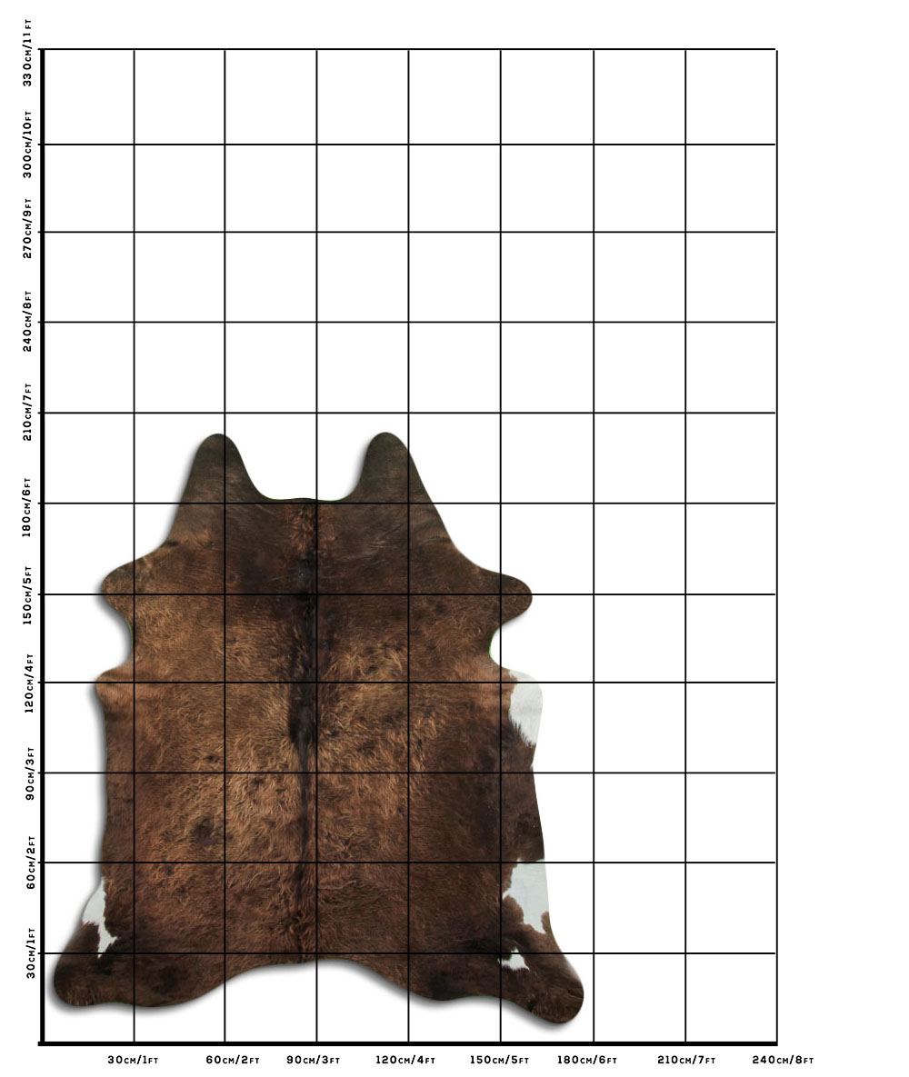 Champanhe Escuro 2 - 3 M Classe A Champanhe Escuro 2 - 3 M Classe A