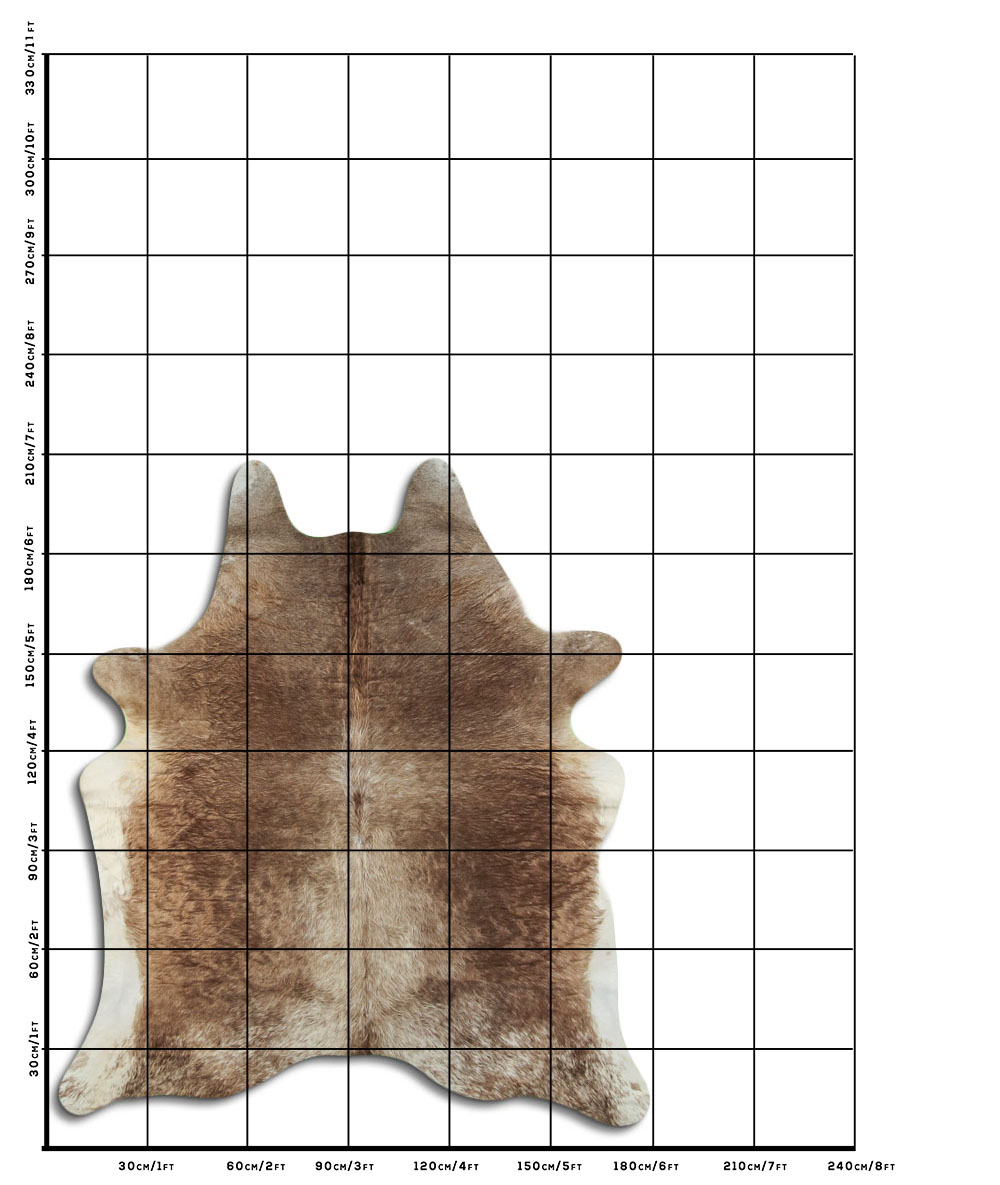 Champanhe Escuro 2 - 3 M Classe B