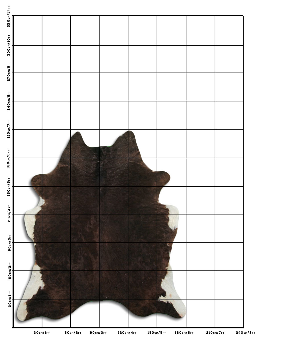 Champanhe Escuro 2 - 3 M Classe B