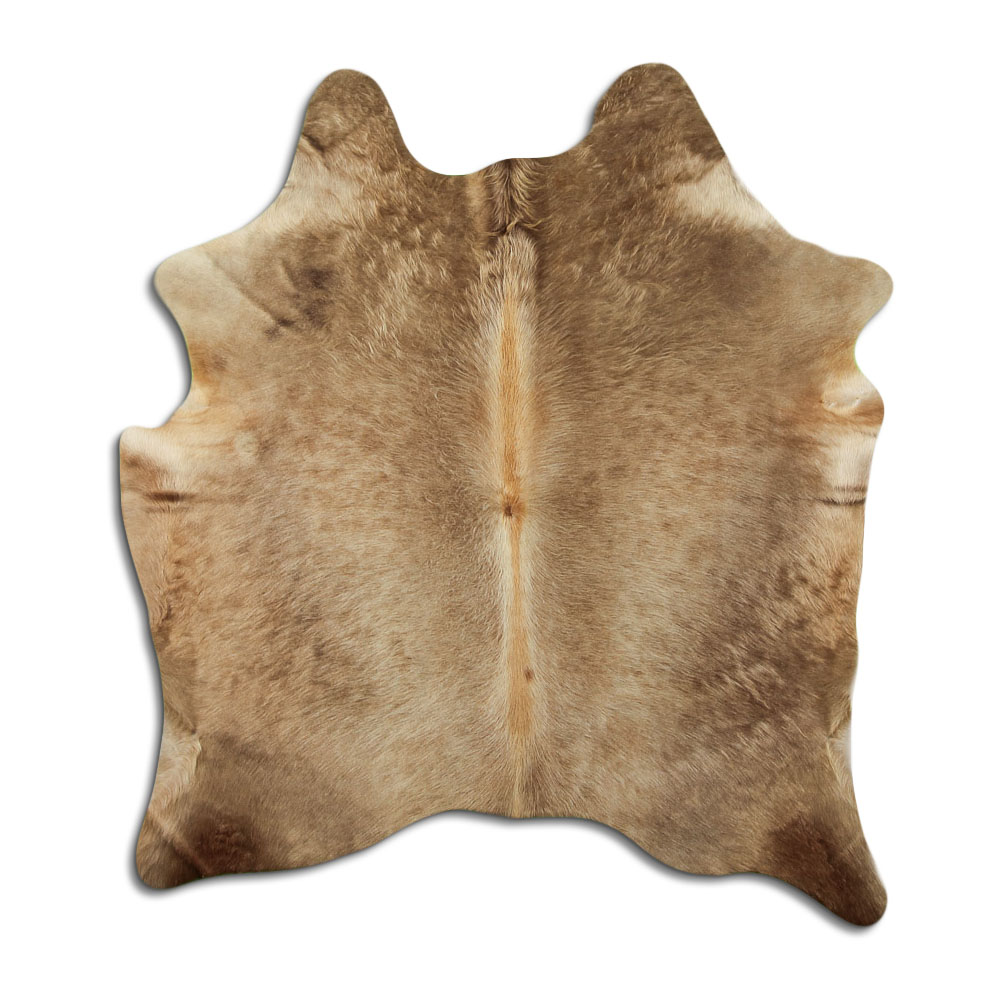 Champanhe Escuro 2 - 3 M Classe B