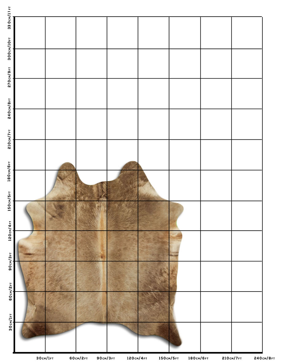 Champanhe Escuro 2 - 3 M Classe B