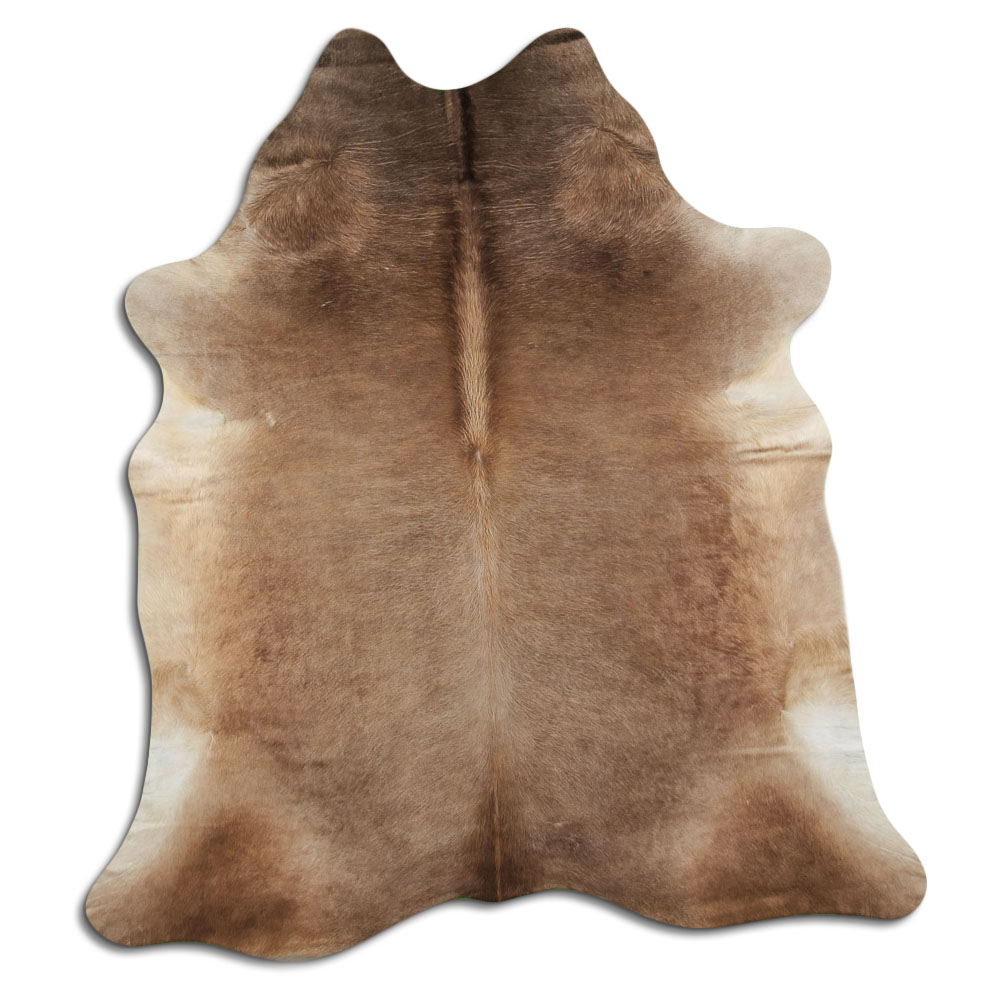 Champagne Dunkel (montafoner) 3 - 4 M Sortierung A