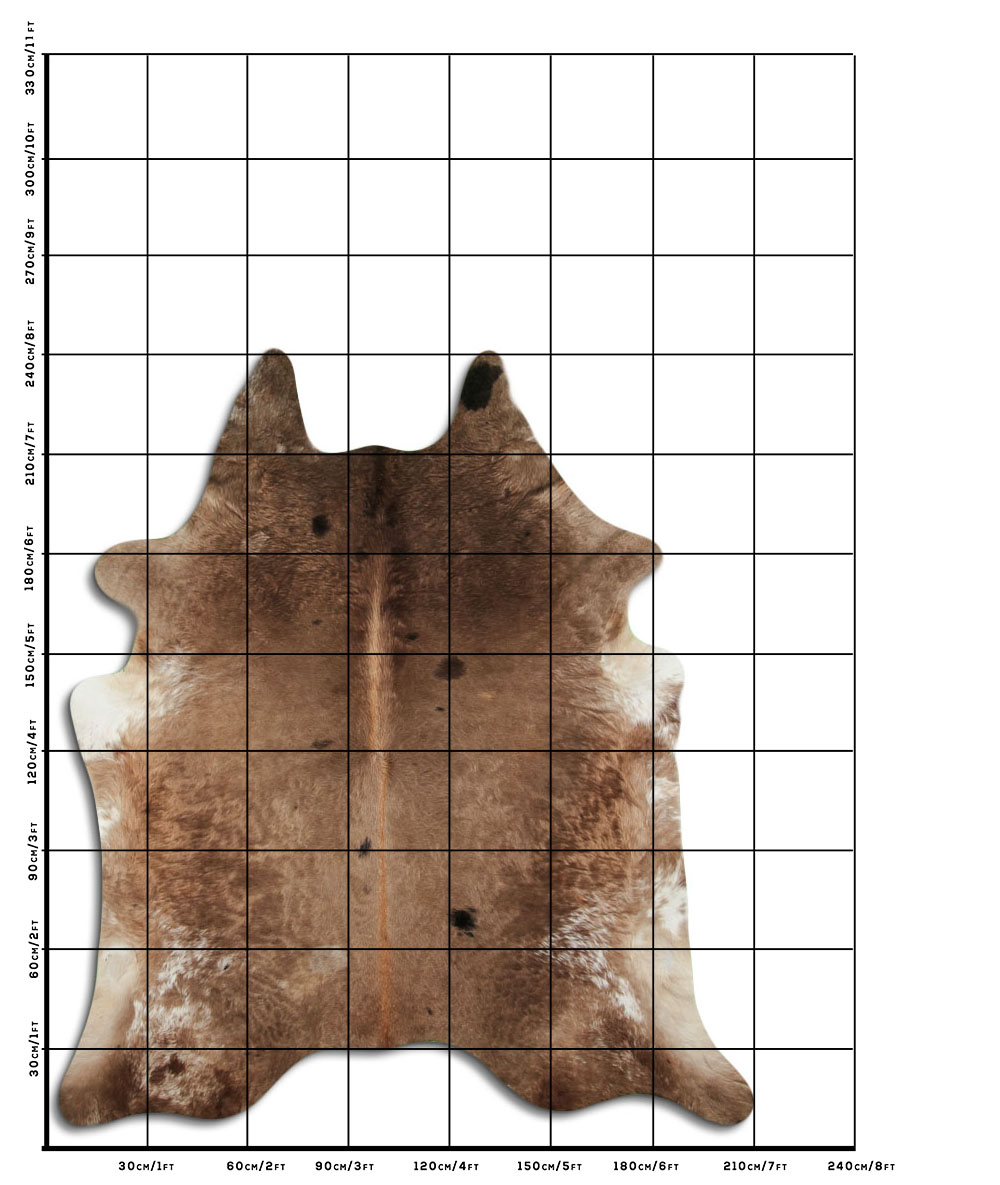 Champanhe Escuro 3 - 4 M Classe A Champanhe Escuro 3 - 4 M Classe A