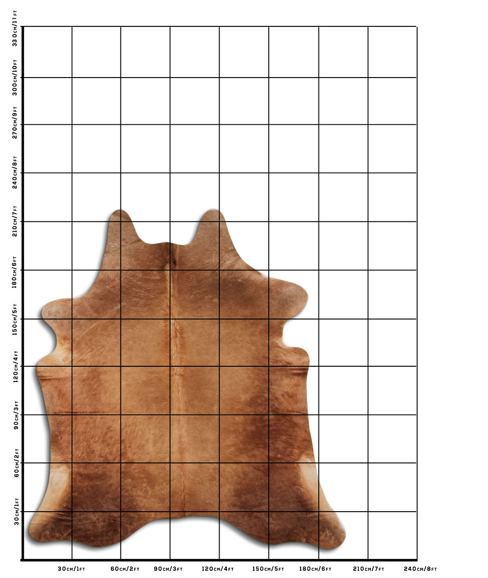 Champanhe Escuro 3 - 4 M Classe A Champanhe Escuro 3 - 4 M Classe A