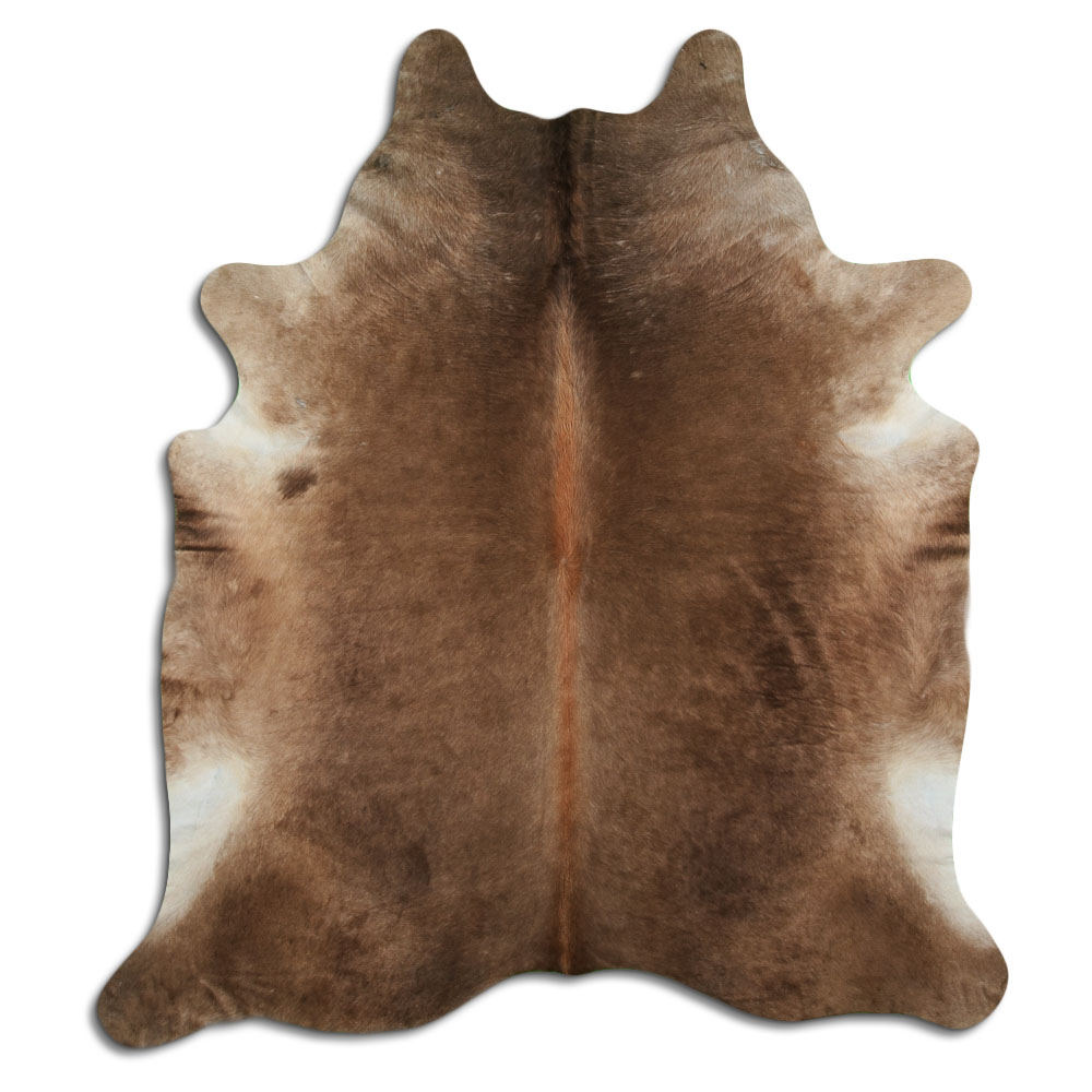 Champanhe Escuro 3 - 4 M Classe A