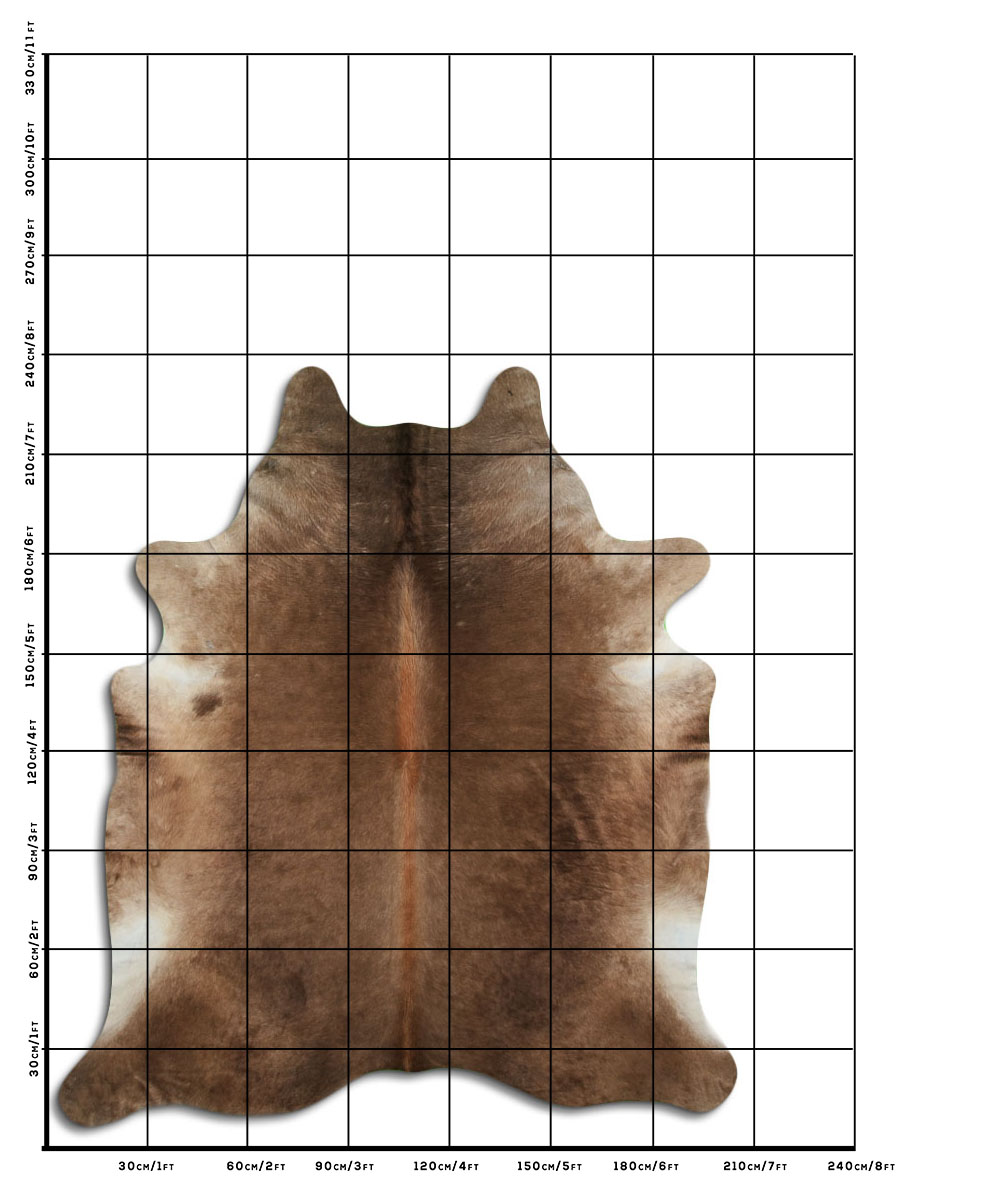 Champanhe Escuro 3 - 4 M Classe A Champanhe Escuro 3 - 4 M Classe A