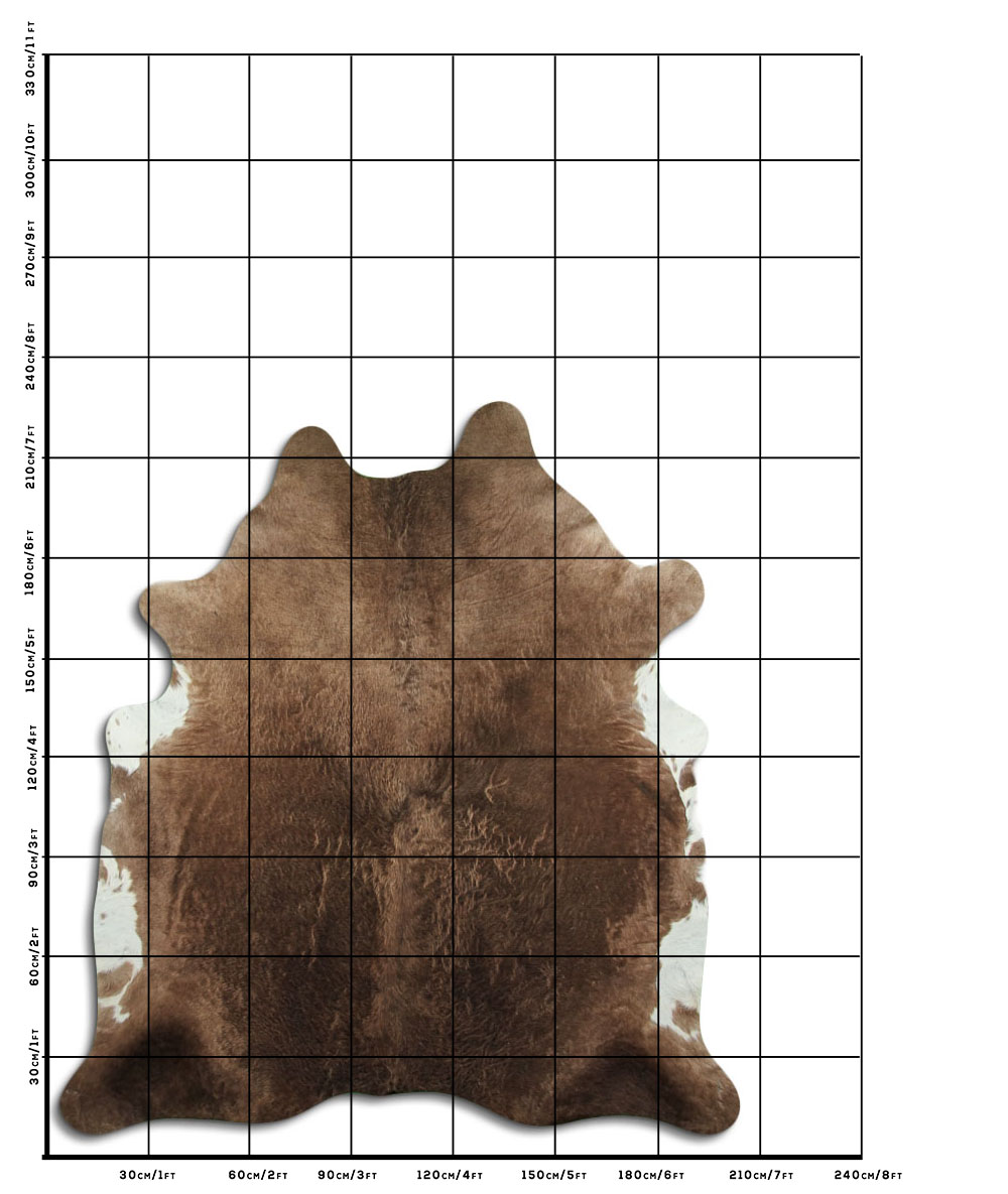 Champanhe Escuro 3 - 4 M Classe A Champanhe Escuro 3 - 4 M Classe A