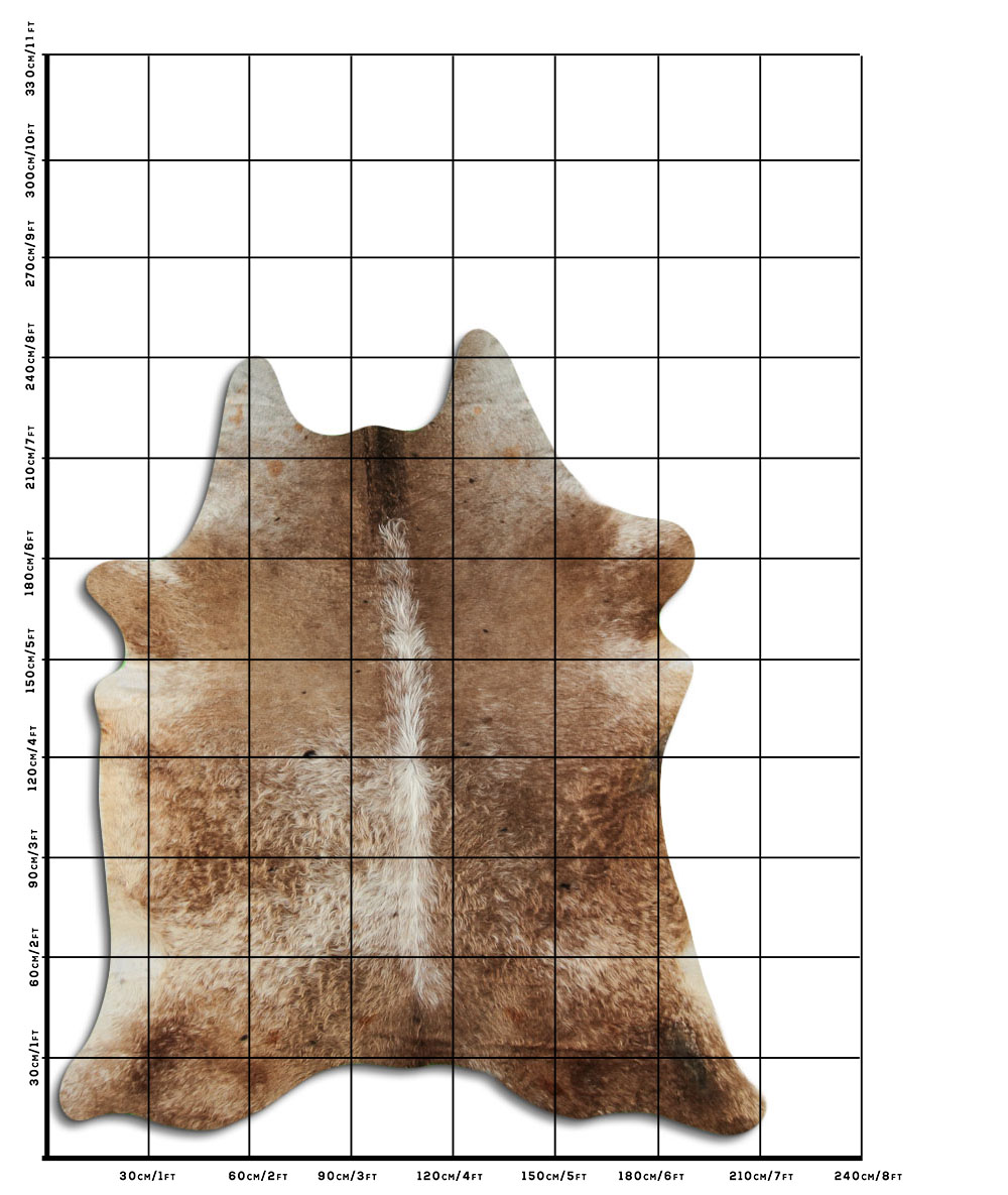 Champanhe Escuro 3 - 4 M Classe B Champanhe Escuro 3 - 4 M Classe B