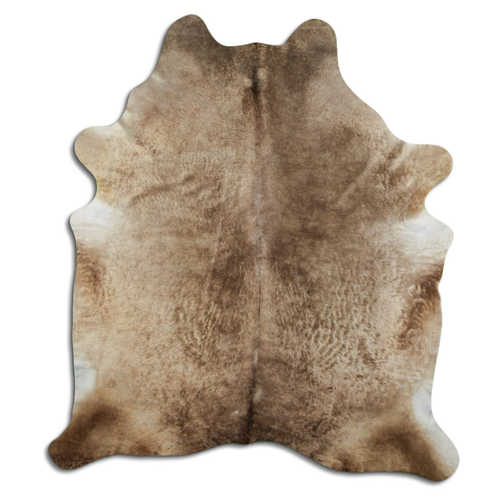 Champan Oscuro 3 - 4 M Clase B