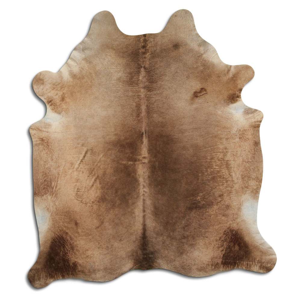 Champan Oscuro 3 - 4 M Clase B