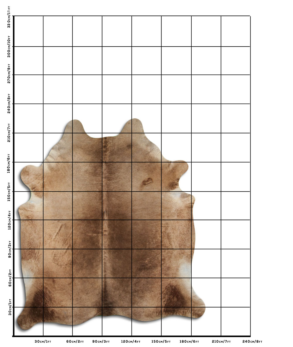 Champanhe Escuro 3 - 4 M Classe B Champanhe Escuro 3 - 4 M Classe B