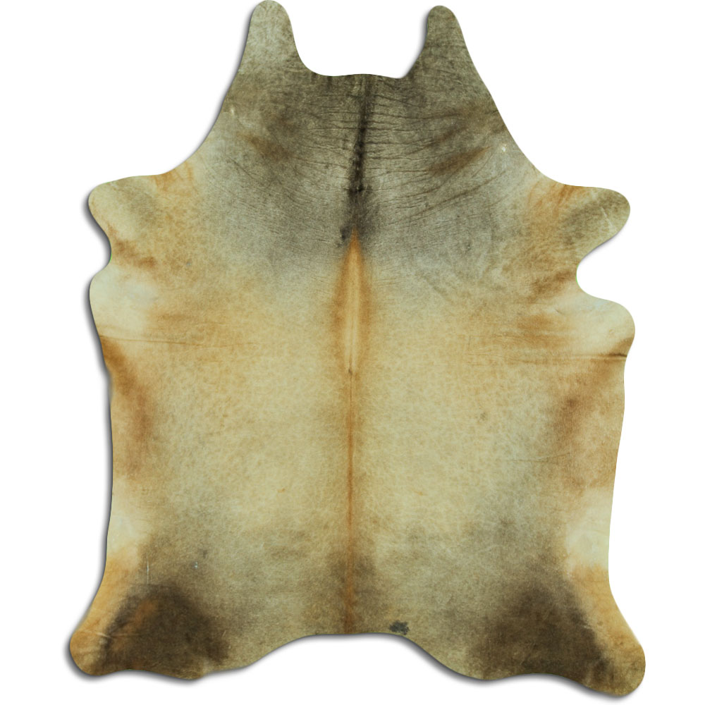Dark Champagne 4 M/+ (jumbo) Grade A