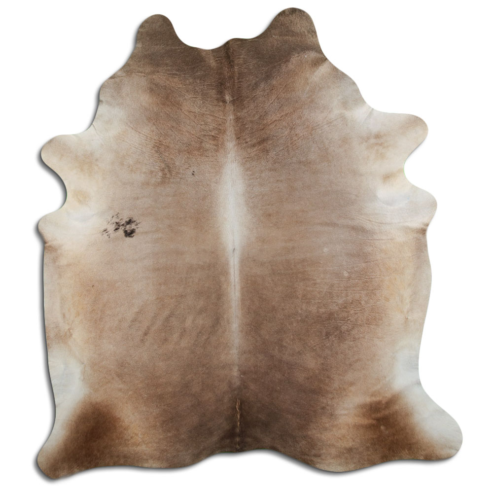 Dark Champagne 4 M/+ (jumbo) Grade A