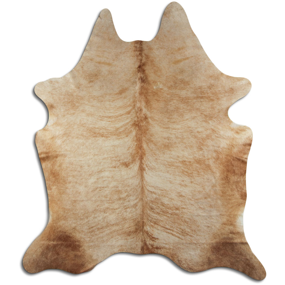 Exotico Beige 2 - 3 M Clase A