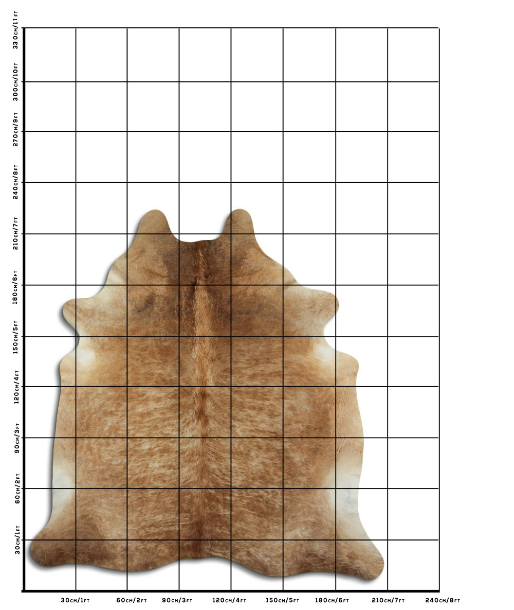 Exotico Bege 3 - 4 M Classe A Exotico Bege 3 - 4 M Classe A