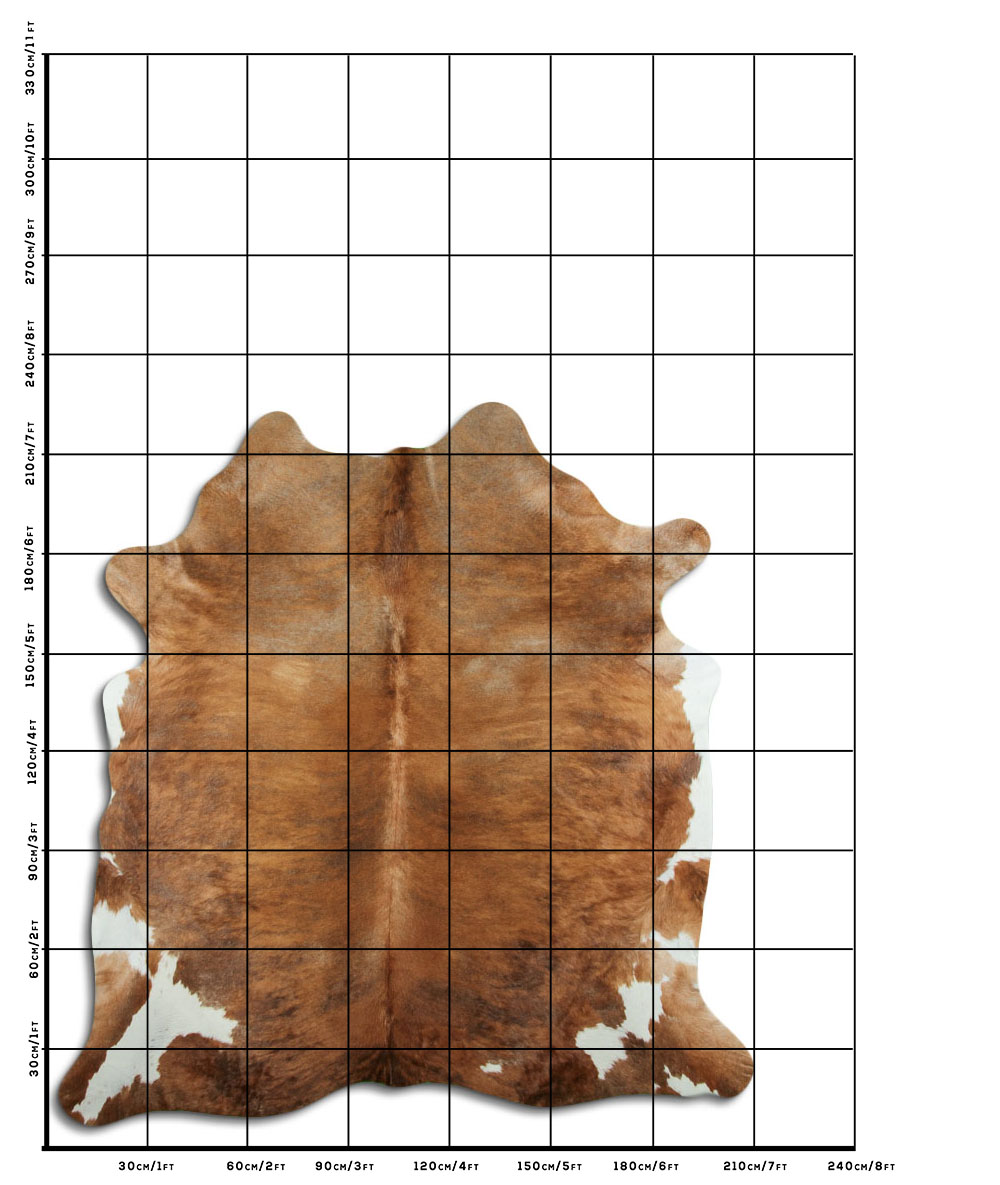 Exotico Bege 3 - 4 M Classe A Exotico Bege 3 - 4 M Classe A