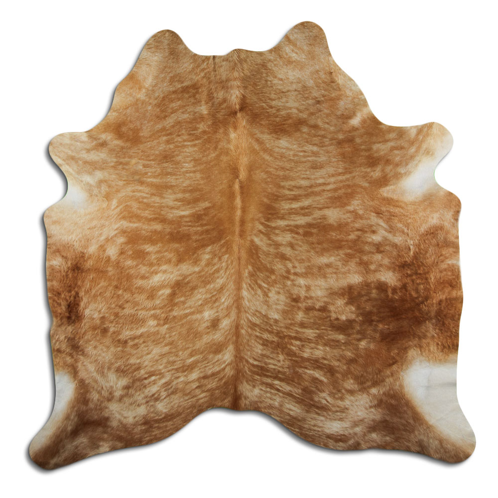 Exot Beige 3 - 4 M Sortierung B