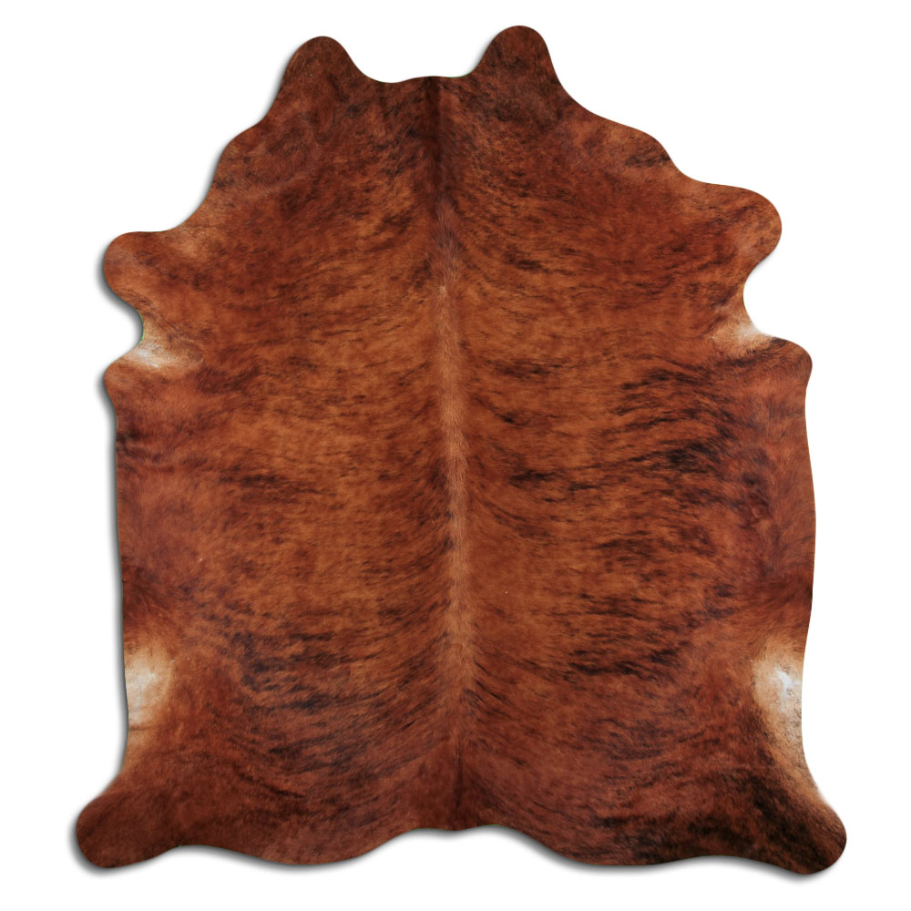 Beige Brindle 4 M/+ (jumbo) Grade A