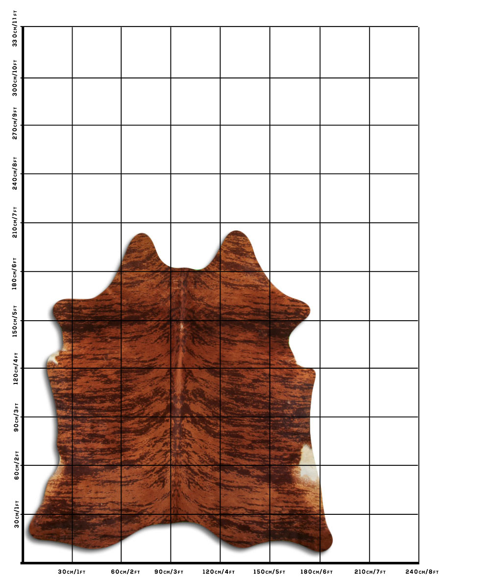 Exotico Marrom 2 - 3 M Classe B Exotico Marrom 2 - 3 M Classe B