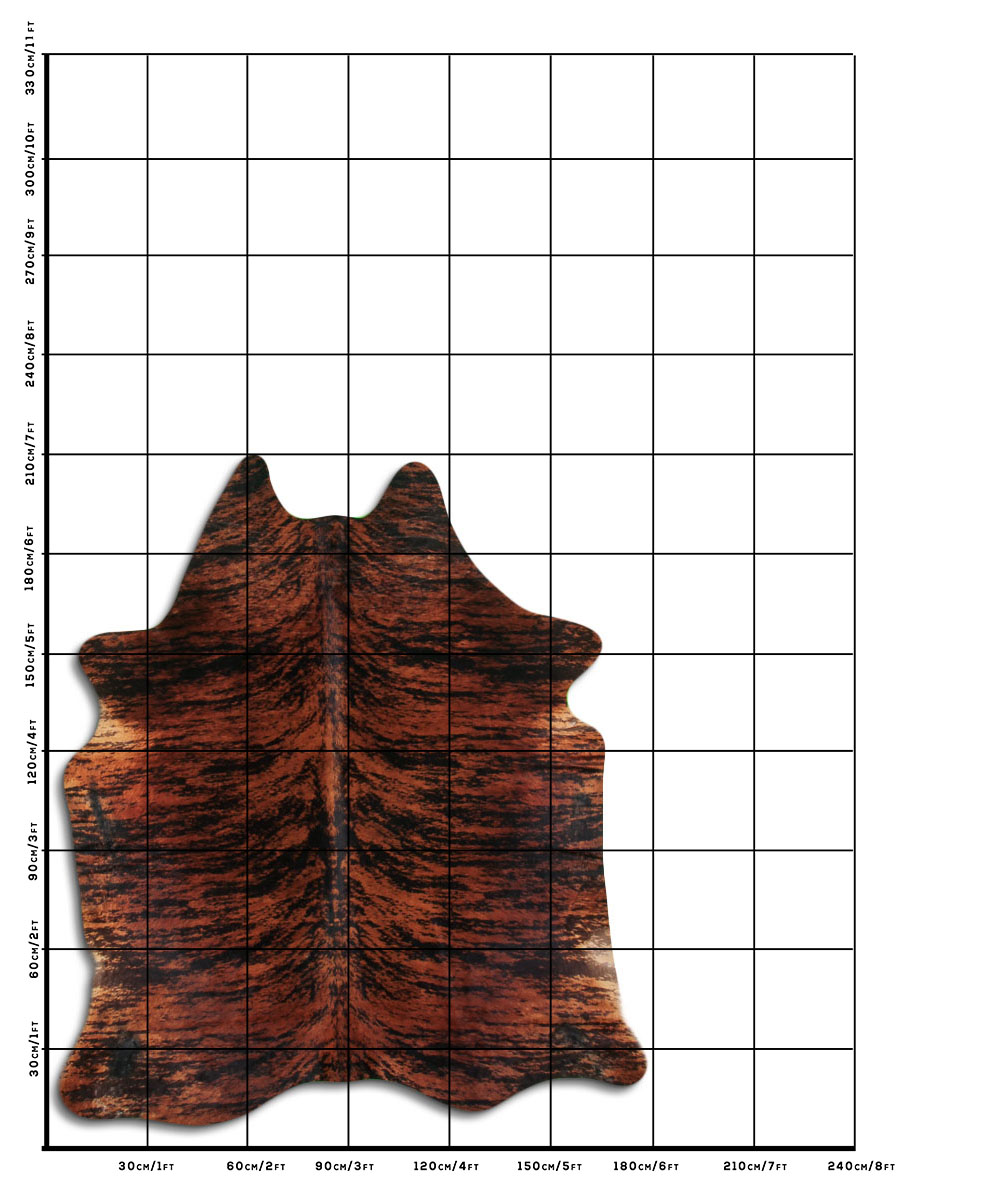 Exotico Marrom 2 - 3 M Classe B Exotico Marrom 2 - 3 M Classe B