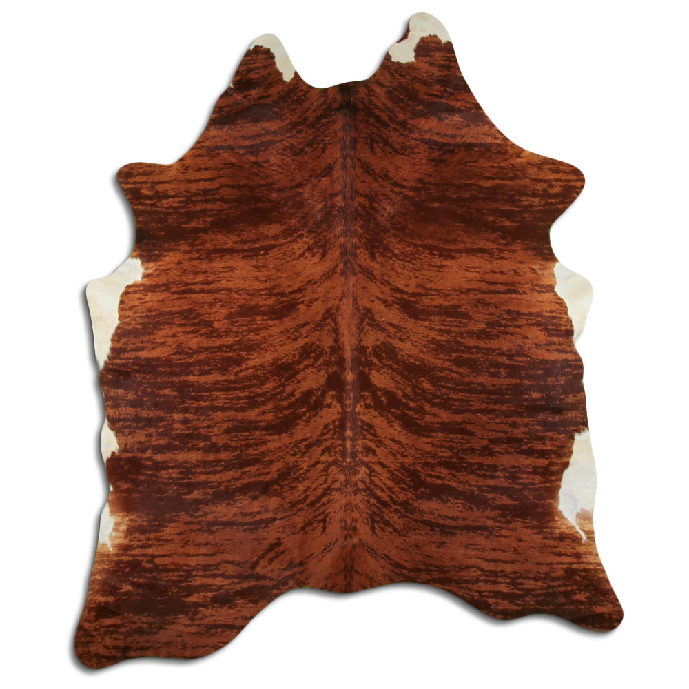 Exotico Marron 2 - 3 M Clase B