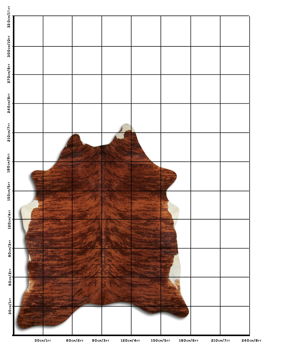 Exotico Marrom 2 - 3 M Classe B Exotico Marrom 2 - 3 M Classe B