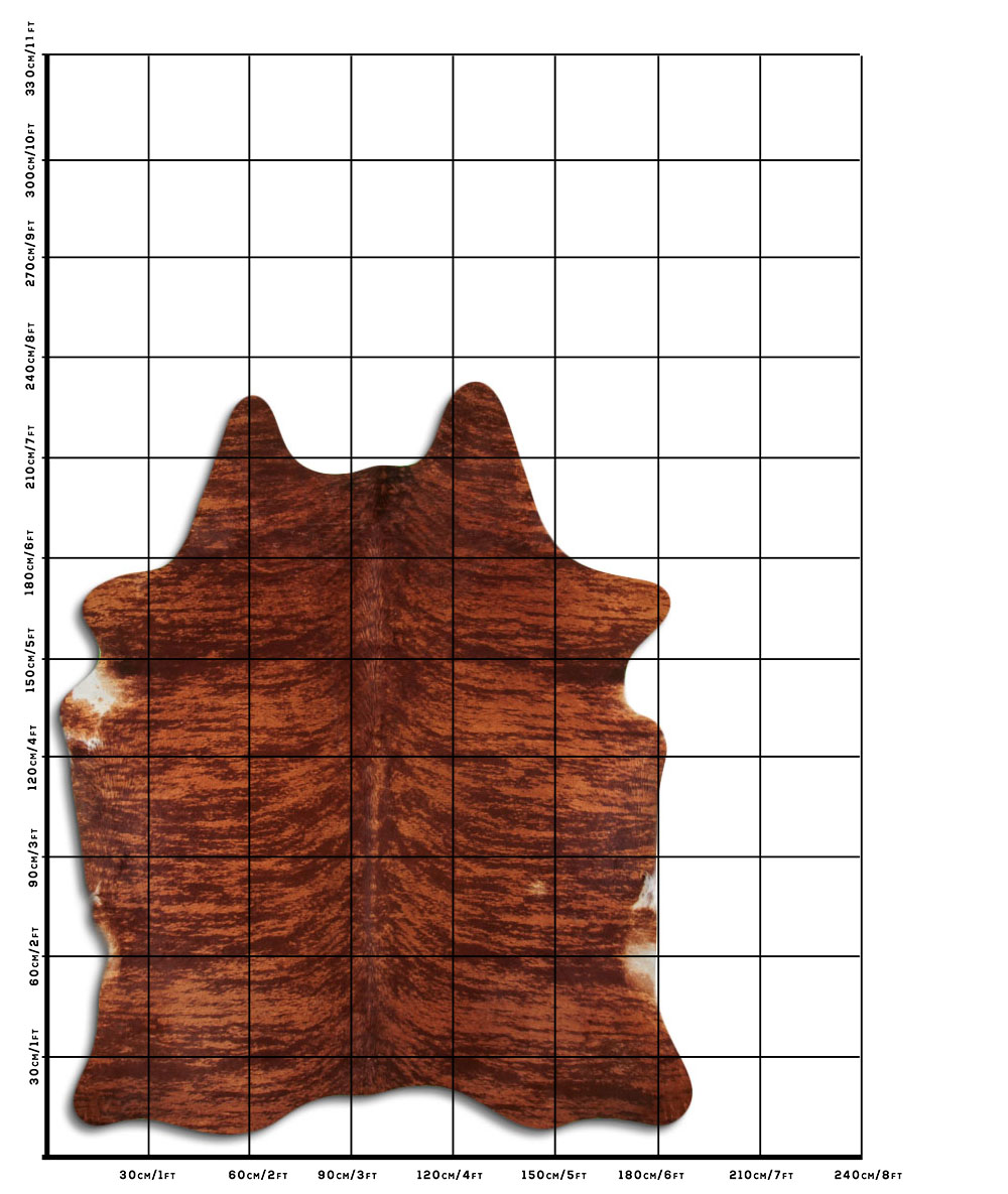 Exotico Marrom 3 - 4 M Classe A Exotico Marrom 3 - 4 M Classe A