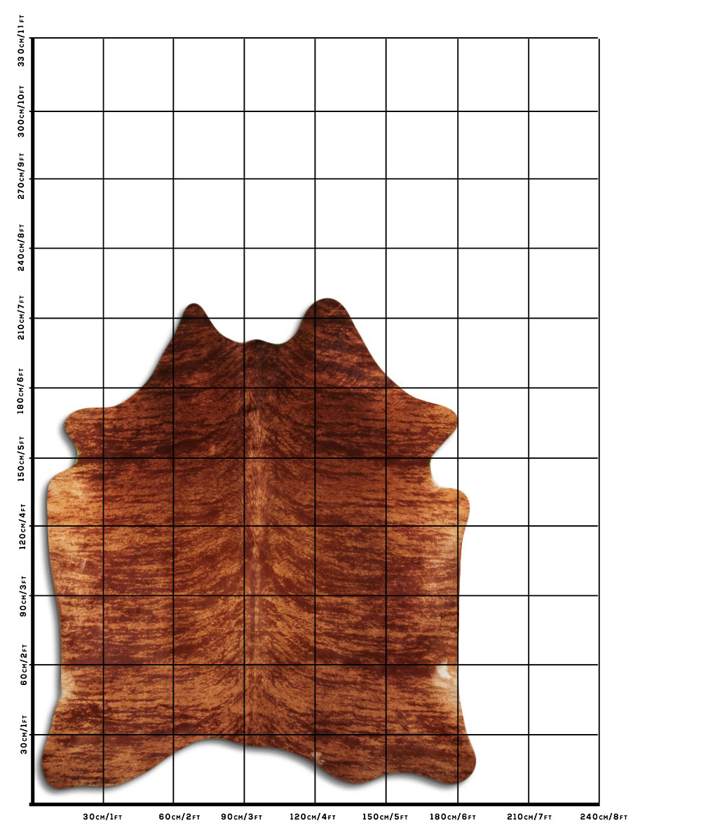 Exotico Marrom 3 - 4 M Classe A Exotico Marrom 3 - 4 M Classe A