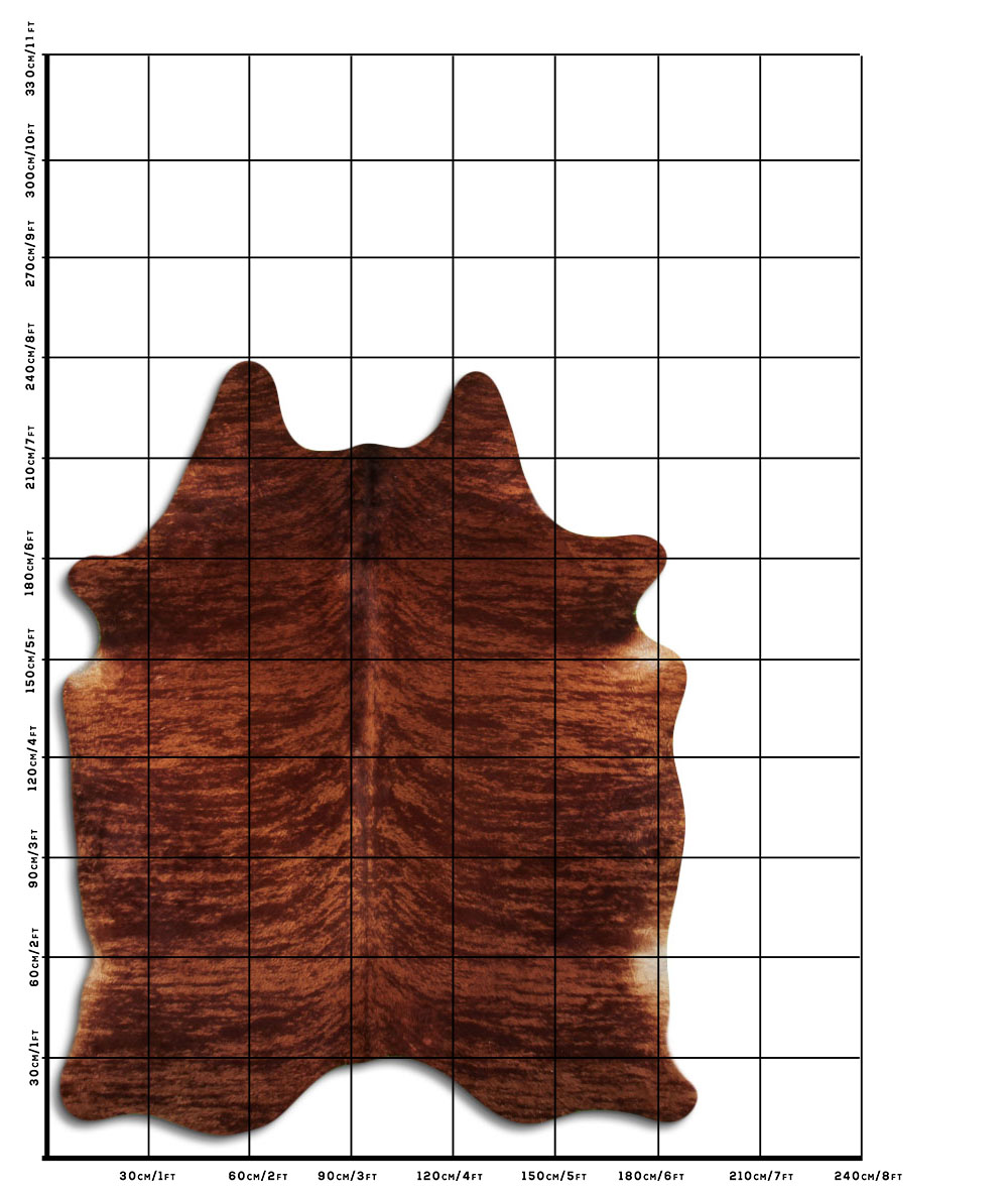 Exotico Marrom 3 - 4 M Classe A Exotico Marrom 3 - 4 M Classe A