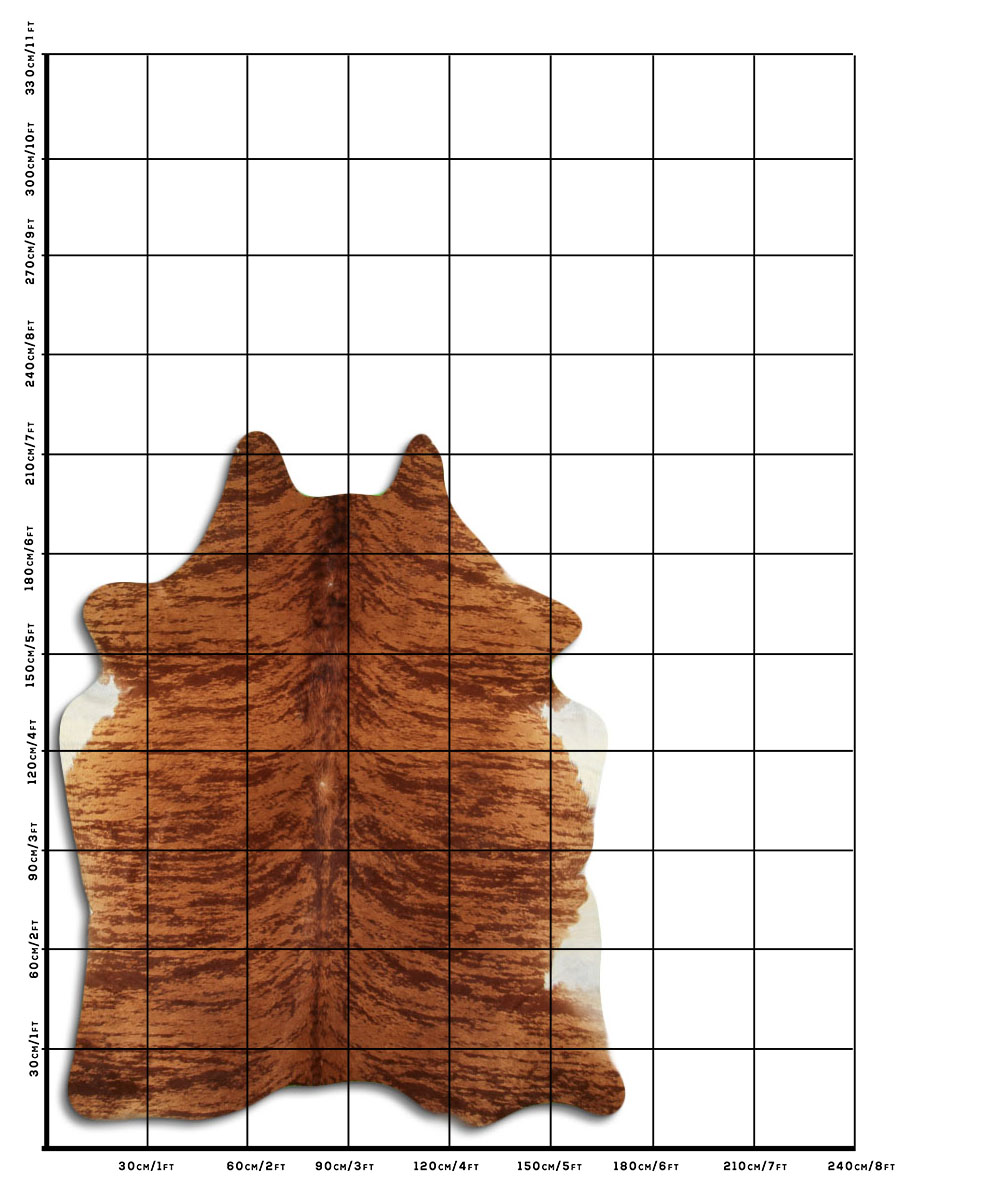 Exotico Marrom 3 - 4 M Classe A