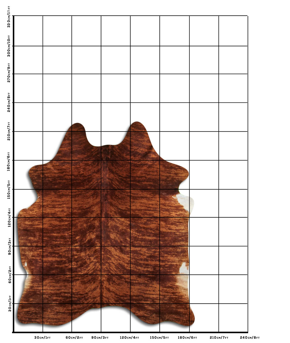 Exotico Marrom 3 - 4 M Classe A