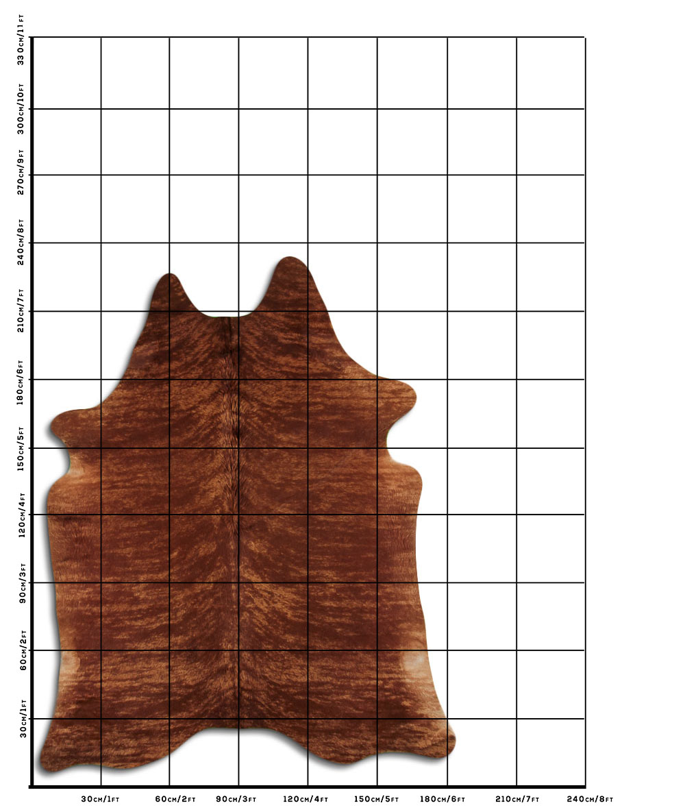 Exotico Marrom 3 - 4 M Classe B Exotico Marrom 3 - 4 M Classe B