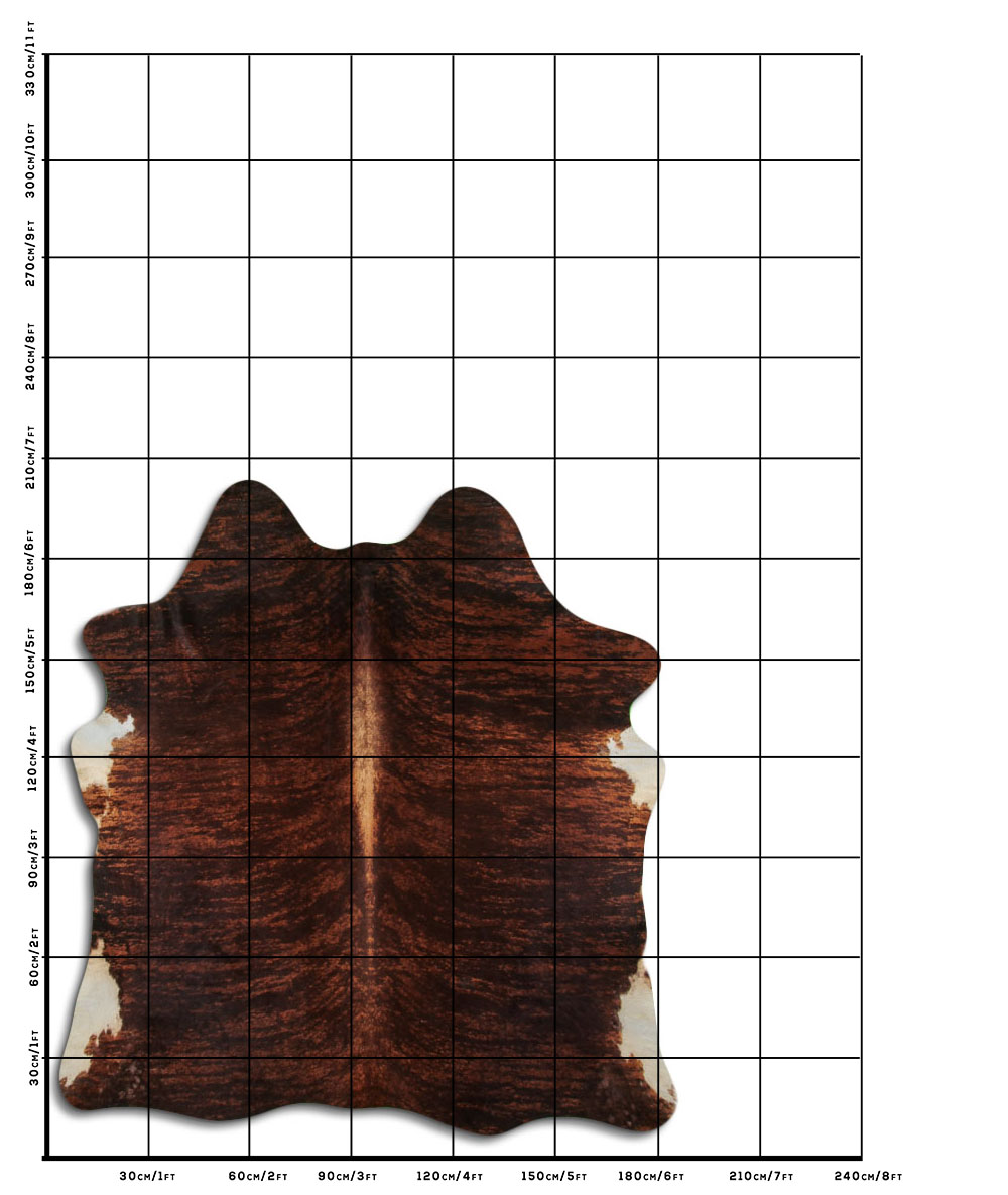 Exotico Marrom 3 - 4 M Classe B