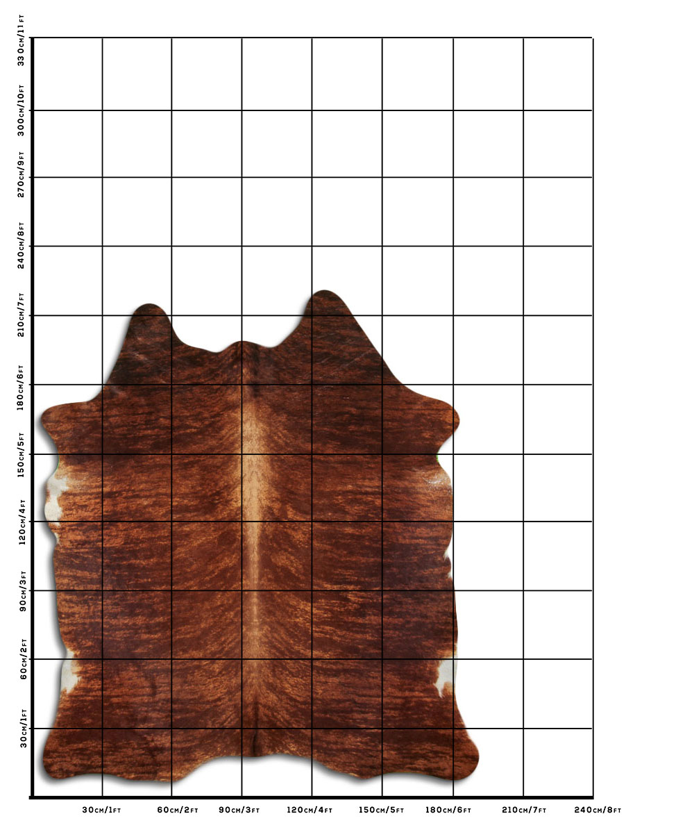 Exotico Marrom 3 - 4 M Classe B