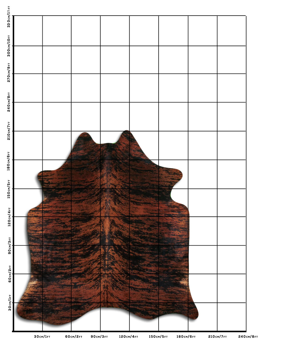Exotico Marrom 3 - 4 M Classe B Exotico Marrom 3 - 4 M Classe B