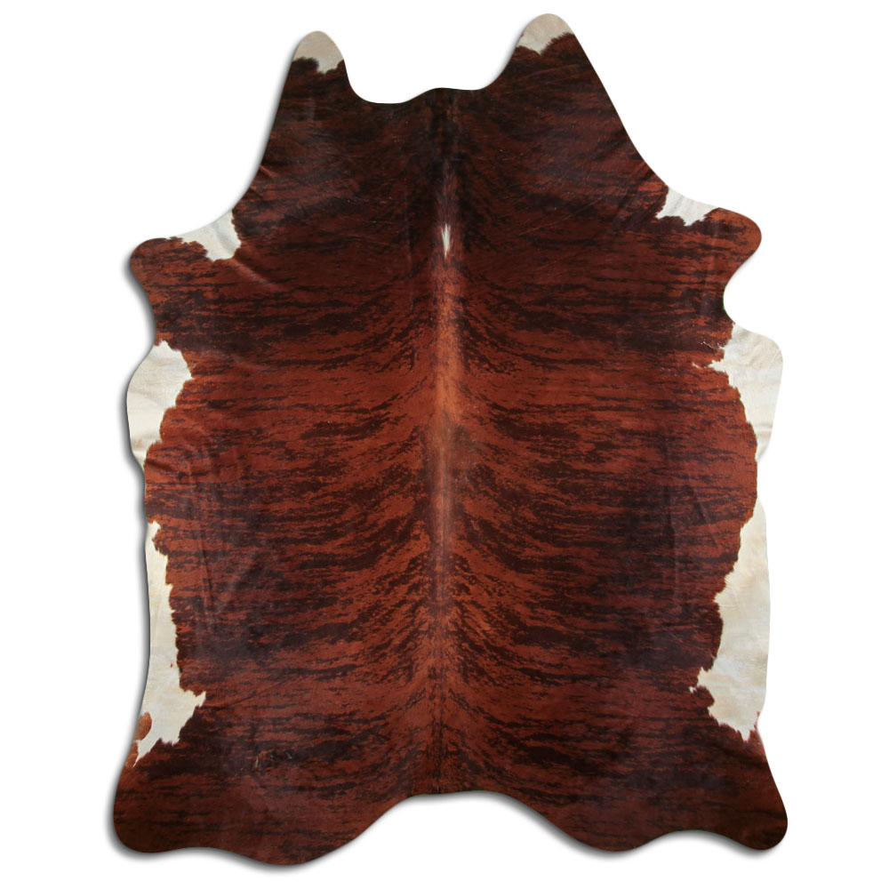 Exotico Marron 3 - 4 M Clase B