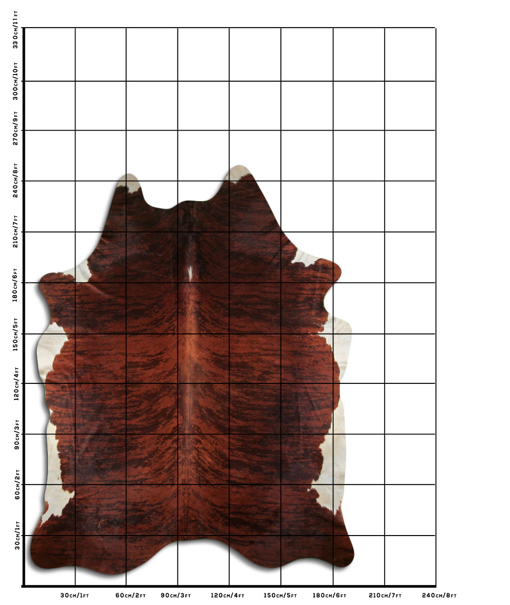 Exotico Marrom 3 - 4 M Classe B Exotico Marrom 3 - 4 M Classe B