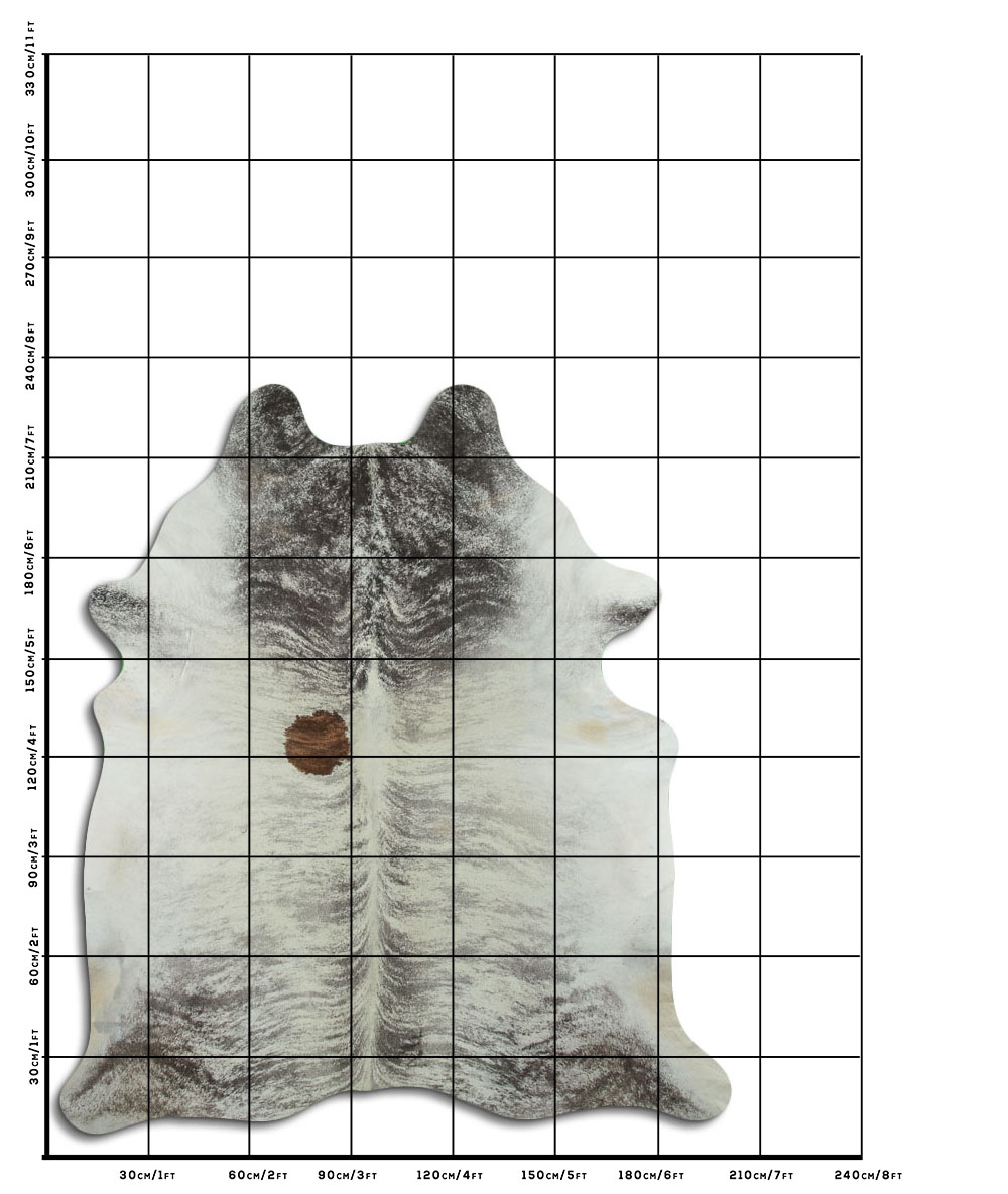 Exotico Claro 3 - 4 M Classe B