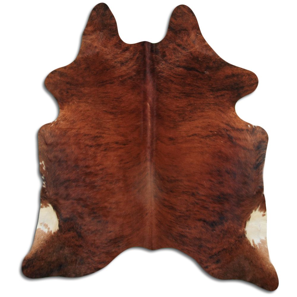 Medium Brindle 2 - 3 M Grade A