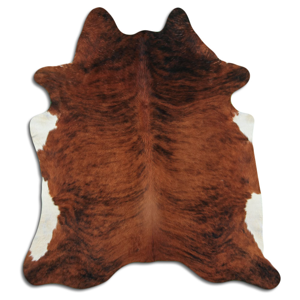 Medium Brindle 2 - 3 M Grade A