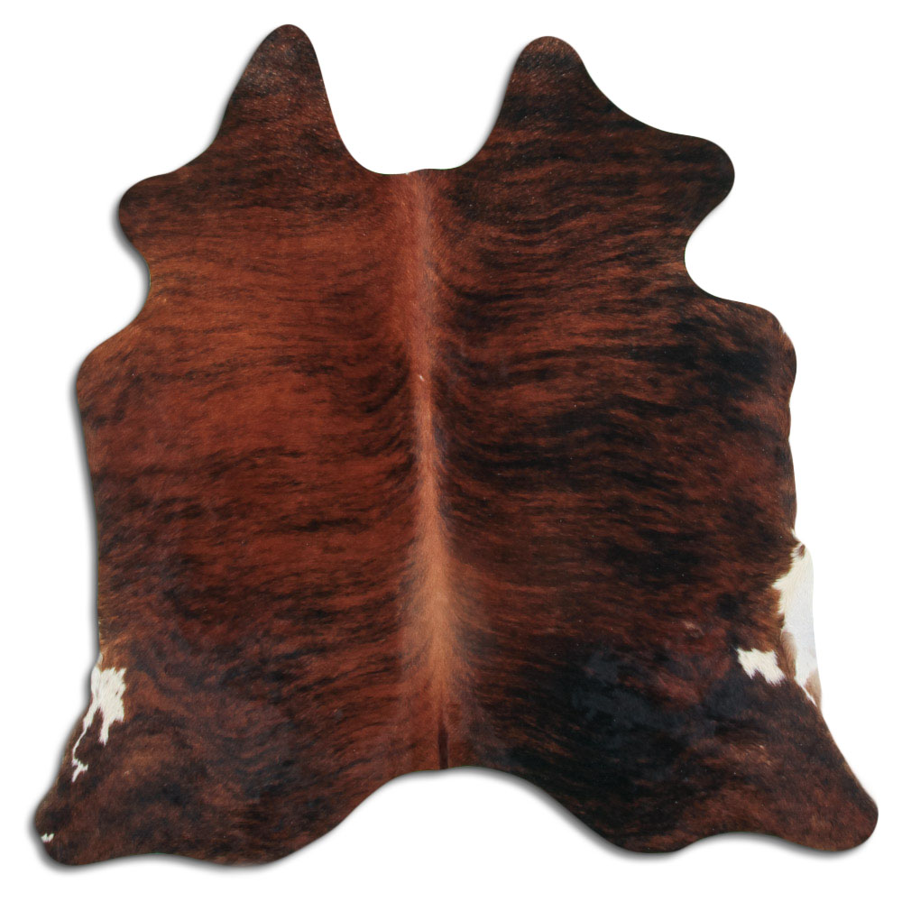 Medium Brindle 2 - 3 M Grade A