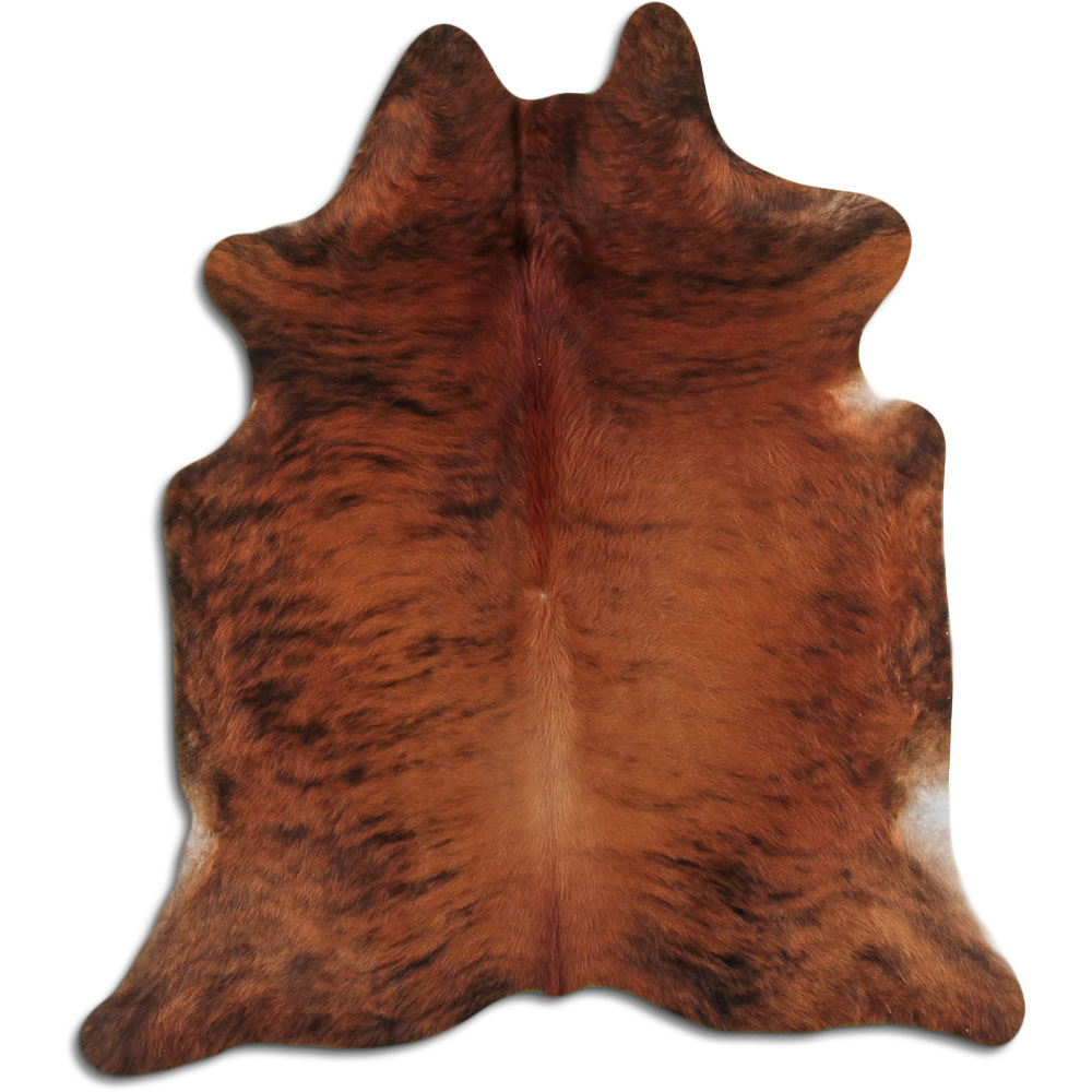 Medium Brindle 2 - 3 M Grade A