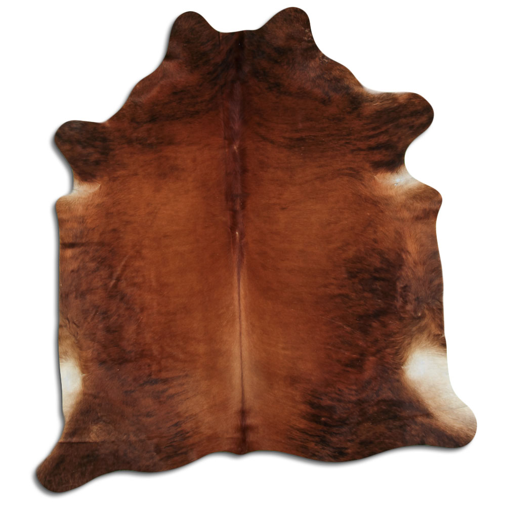 Medium Brindle 2 - 3 M Grade A