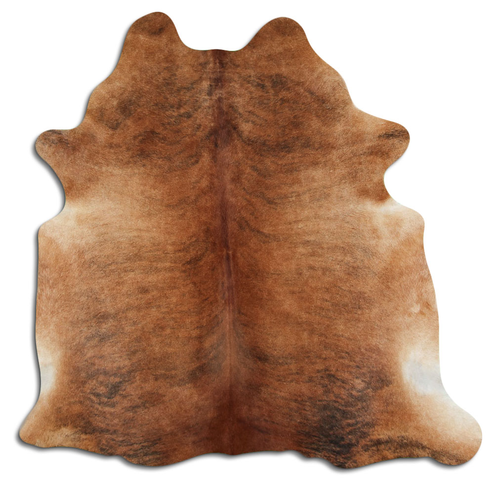 Medium Brindle 2 - 3 M Grade A
