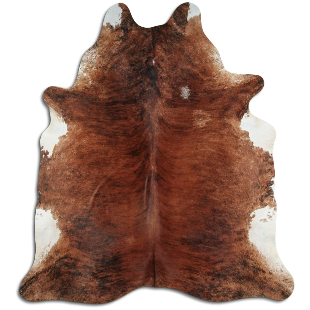 Medium Brindle 3 - 4 M Grade A