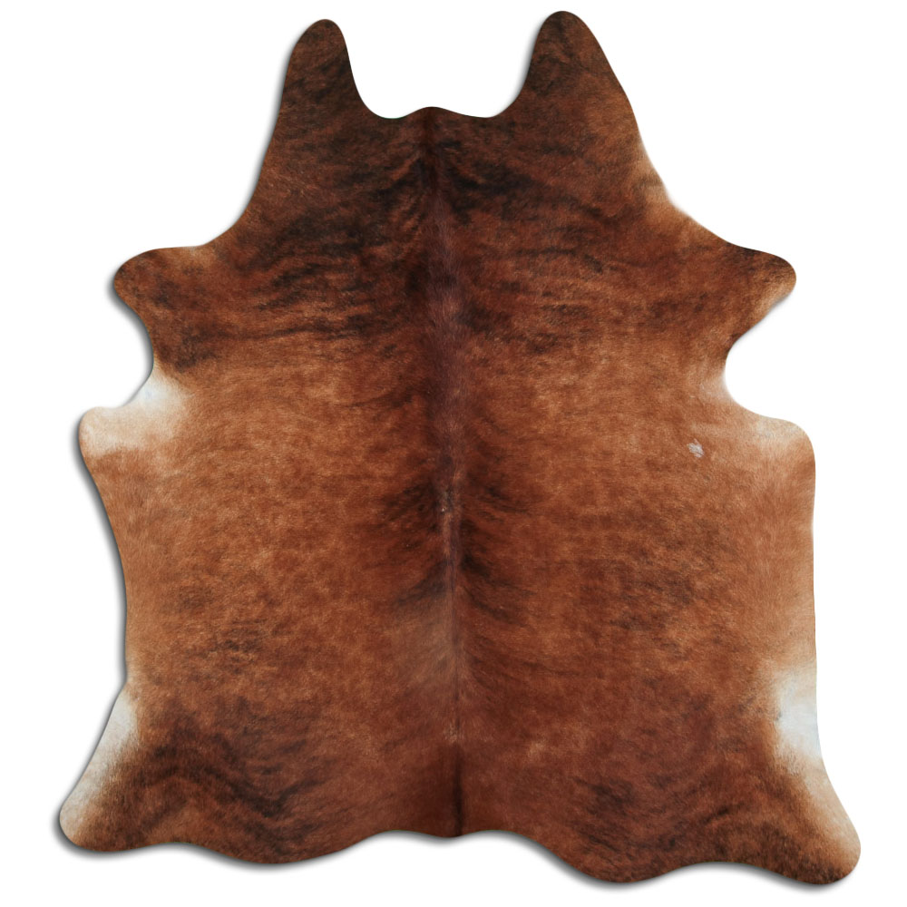 Medium Brindle 3 - 4 M Grade A