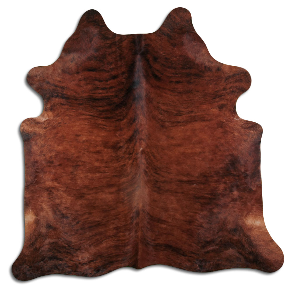 Medium Brindle 3 - 4 M Grade A