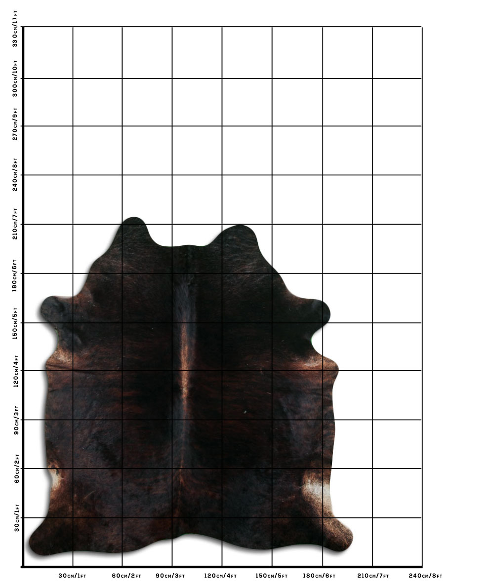 Exotico Medio 3 - 4 M Classe A