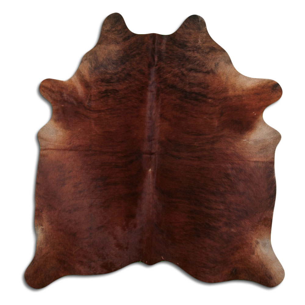 Exot Medium 3 - 4 M Sortierung B