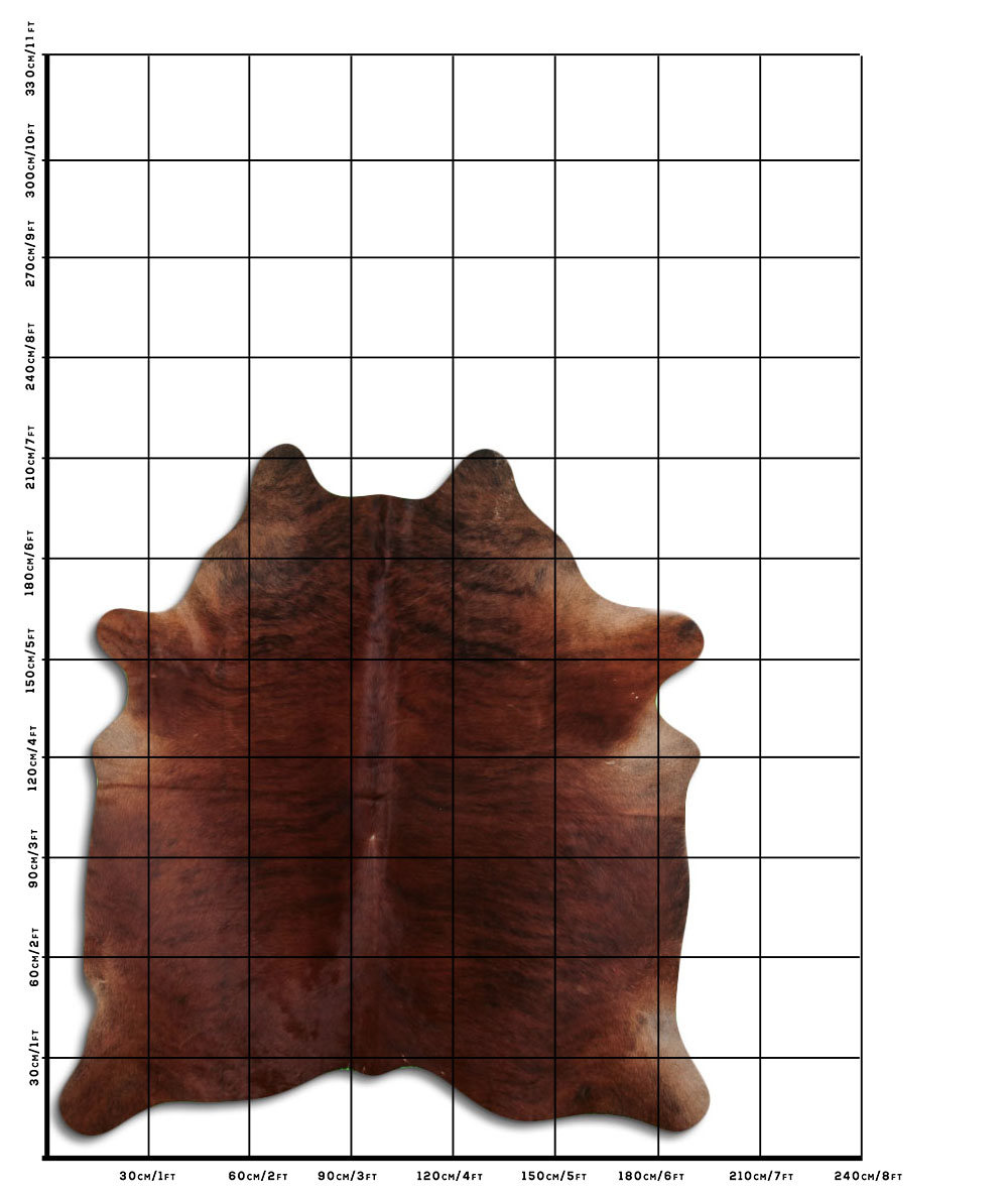 Exotico Medio 3 - 4 M Classe B